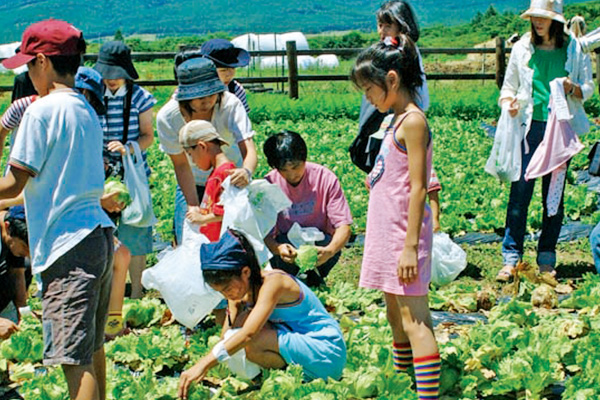 高原野菜の収穫体験